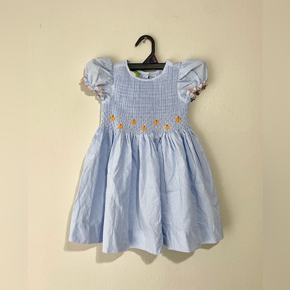 Classic Whimsy Smocked Gingham Fruit Bishop Blue Dress Girl's Size 4T